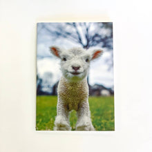 Load image into Gallery viewer, 1818 Farms Stitched Notebook