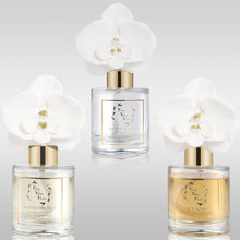 Load image into Gallery viewer, Golden Orchid Flower Diffuser Gift Set - White Orchid