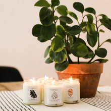 Load image into Gallery viewer, Jax Kelly Obsidian Crystal Candle