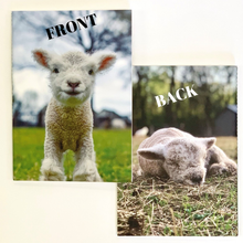 Load image into Gallery viewer, 1818 Farms Stitched Notebook
