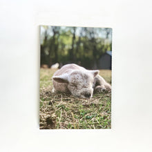 Load image into Gallery viewer, 1818 Farms Stitched Notebook
