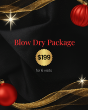 Load image into Gallery viewer, 2025 Blow Dry Package

