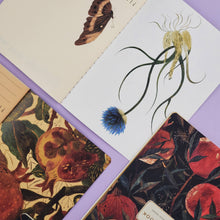 Load image into Gallery viewer, Pom on the Vine Notebook
